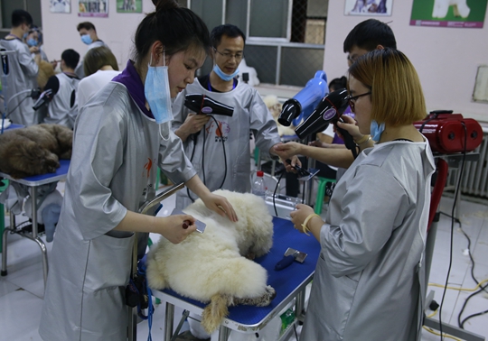 1539252834135119.jpg _MG_9899.JPG