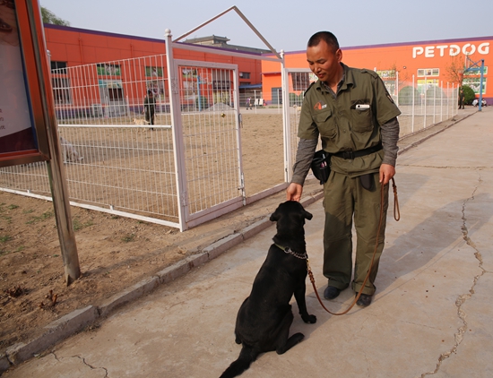 1551869757145662.jpg 訓犬照13.JPG