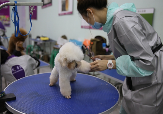 1555320176741824.jpg IMG_5053.JPG